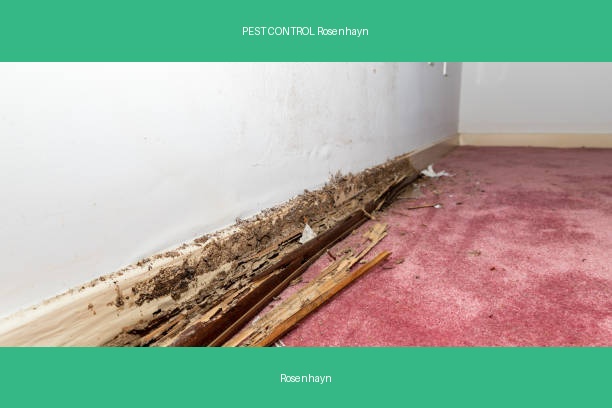 PEST CONTROL Rosenhayn